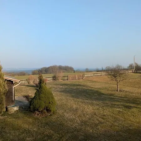 In Oelsnitz With Swimming Pool 度假居 *