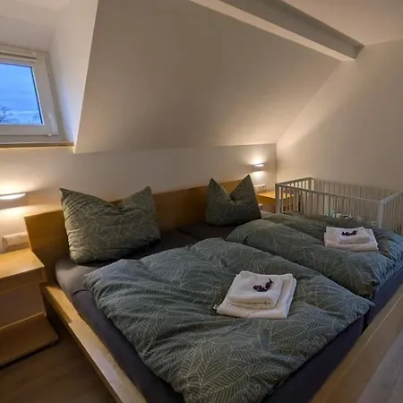 In Oelsnitz With Swimming Pool 度假居 Hohekreuz