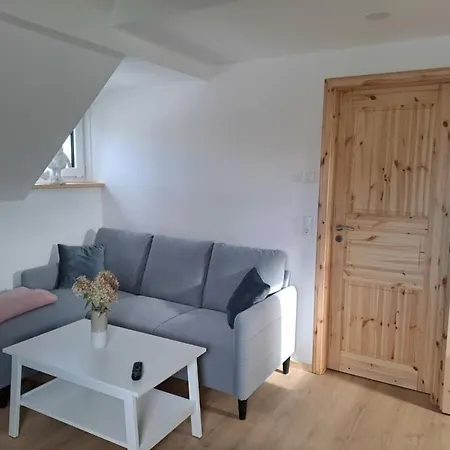 In Oelsnitz With Swimming Pool