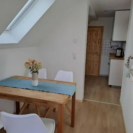 In Oelsnitz With Swimming Pool 度假居