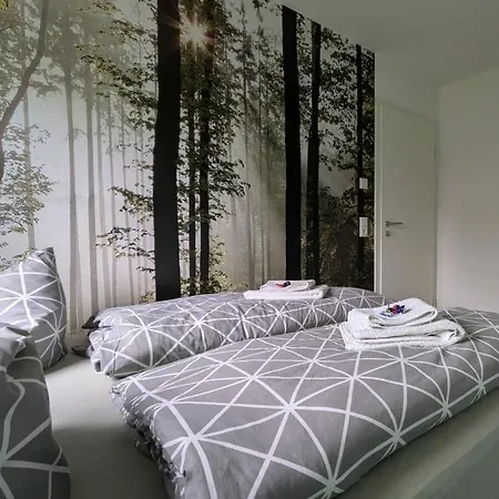 In Oelsnitz With Swimming Pool 度假居 Hohekreuz