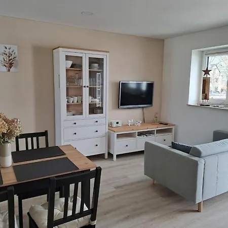 In Oelsnitz With Swimming Pool 度假居