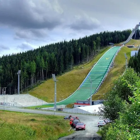 In Oelsnitz With Swimming Pool *