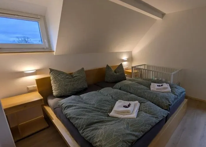 In Oelsnitz With Swimming Pool Feriehus Hohekreuz