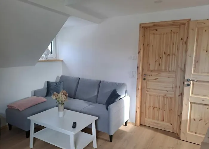 In Oelsnitz With Swimming Pool