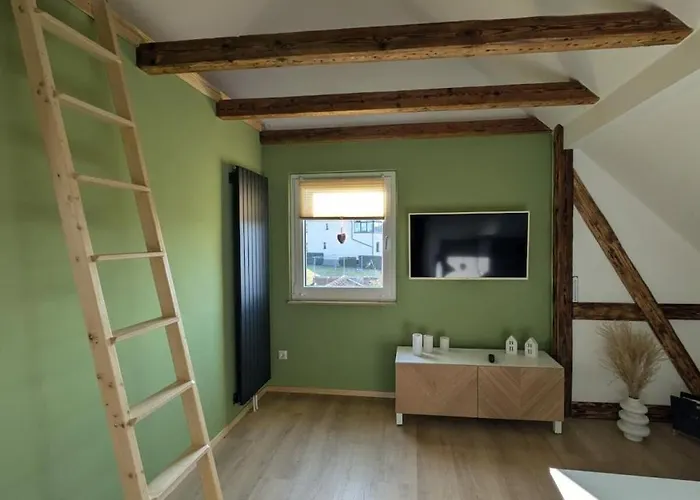 In Oelsnitz With Swimming Pool Feriehus