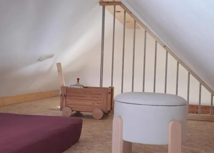 In Oelsnitz With Swimming Pool *