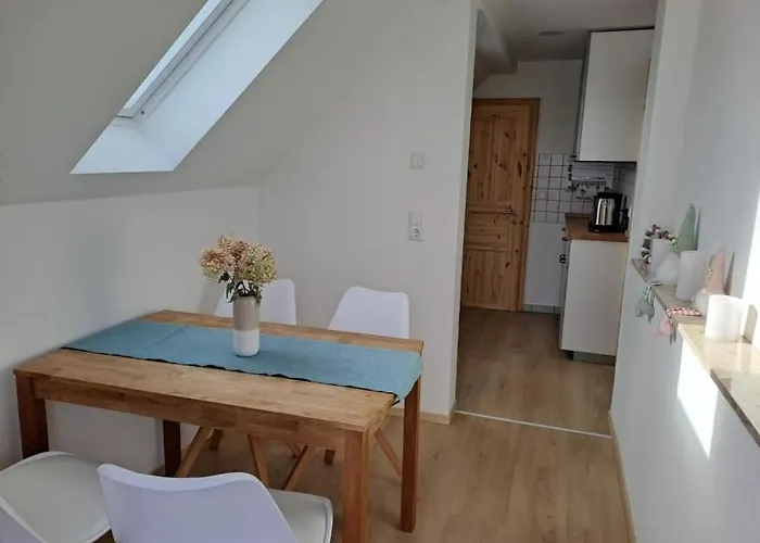 In Oelsnitz With Swimming Pool Feriehus