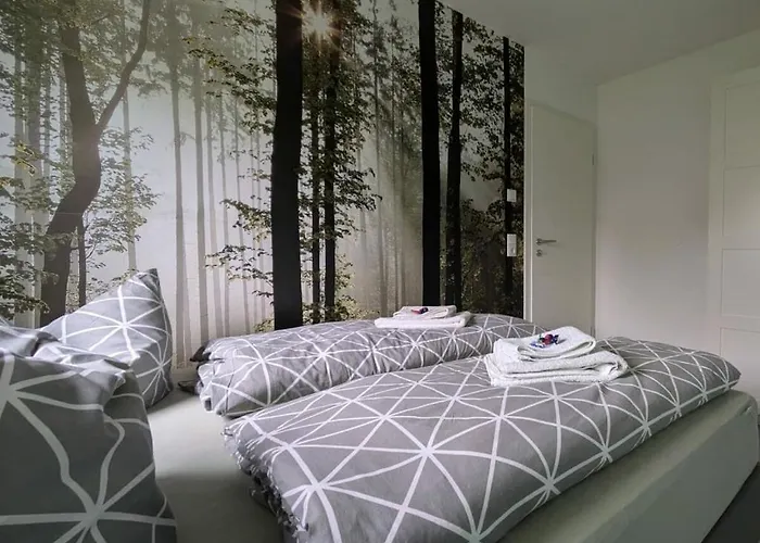 In Oelsnitz With Swimming Pool Feriehus Hohekreuz