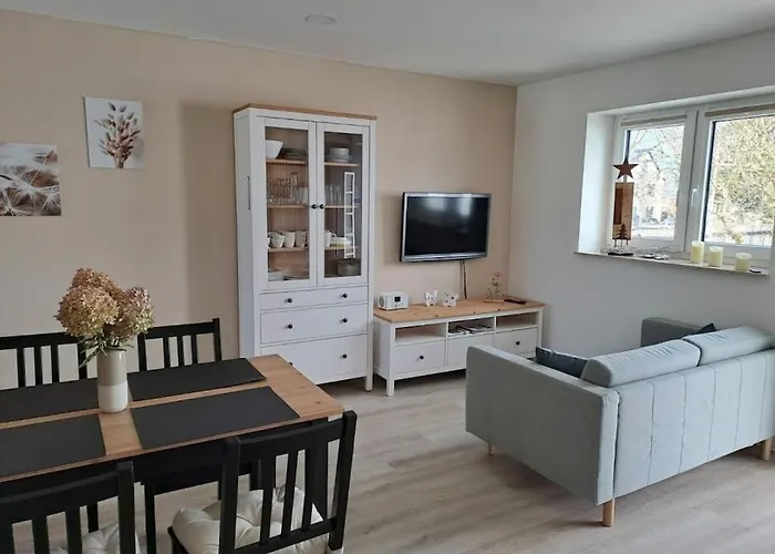 In Oelsnitz With Swimming Pool Feriehus