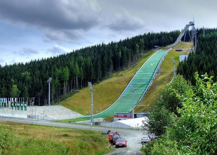 In Oelsnitz With Swimming Pool *